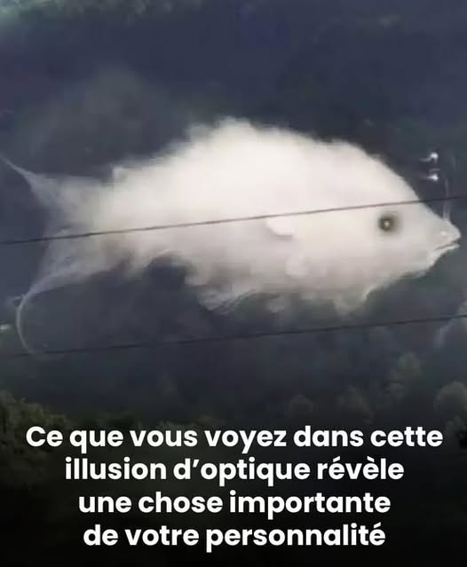 Ta iluzja optyczna ujawnia Twoją osobowość na podstawie tego, co postrzegasz.