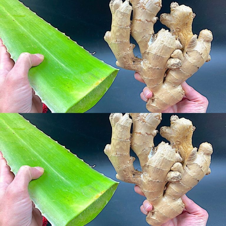 Naturalna bomba: niesamowity środek niszczący bakterie