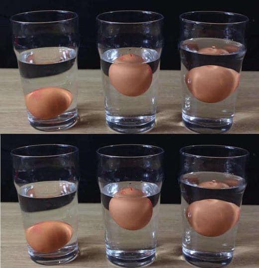 5 sposobów, aby stwierdzić, czy jajko jest świeże czy zgniłe