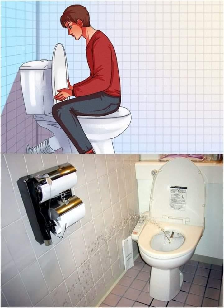 Dlaczego Japończycy siadają na toalecie tyłem do kierunku jazdy?