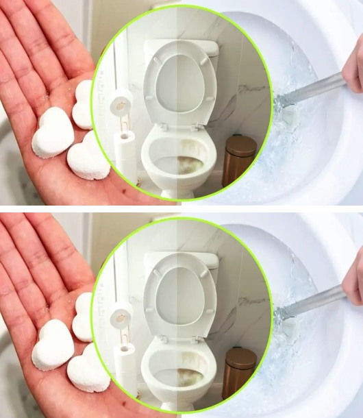 Śmierdząca toaleta. Potrzebujesz tylko tych bomb, aby ją wyczyścić i odświeżyć | Bardzo proste