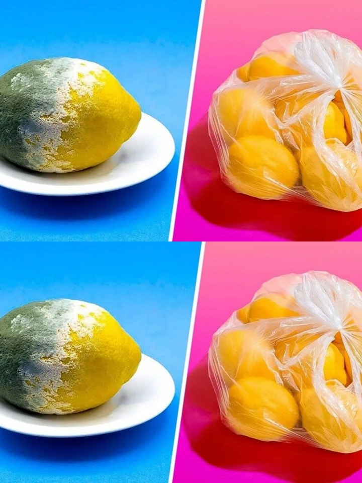 Jak zachować cytryny na 3 miesiące lub dłużej i zapobiec ich gniciu