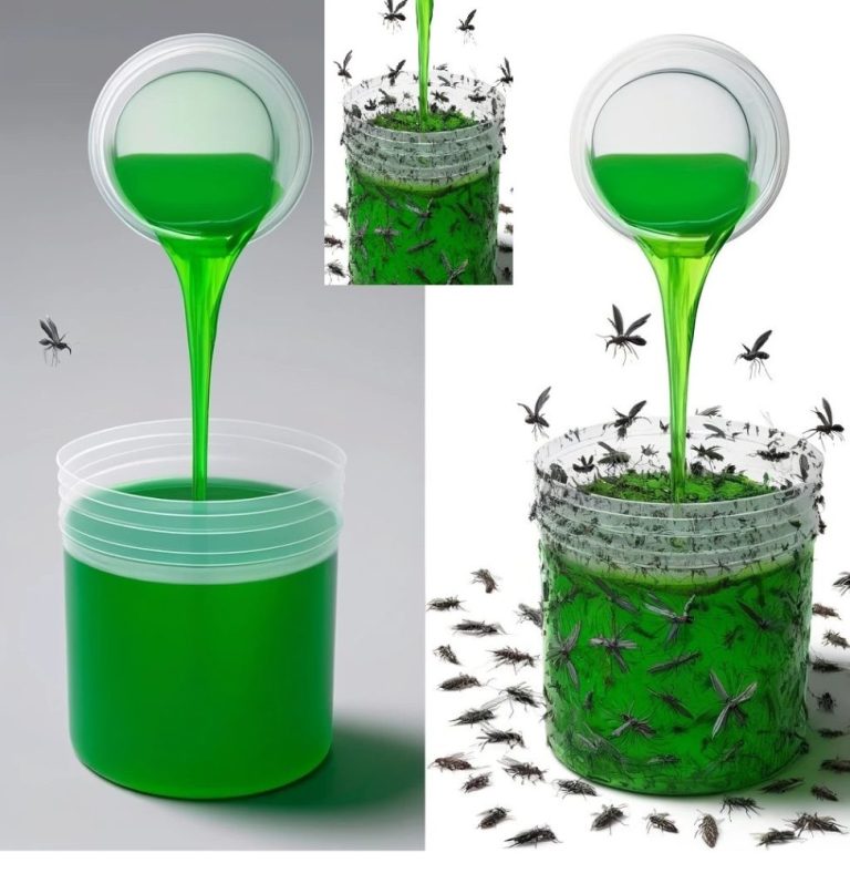 „Łatwy sposób na pozbycie się much i karaluchów w ciągu jednej godziny – naturalna metoda dla Twojego domu”