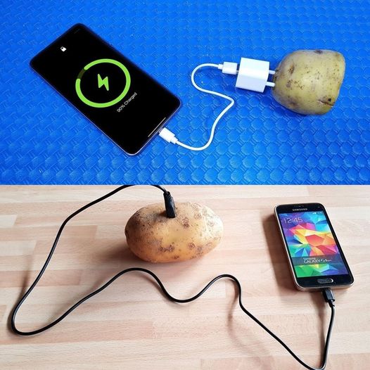 Jeden ugotowany ziemniak może zasilać lampę przez 40 dni