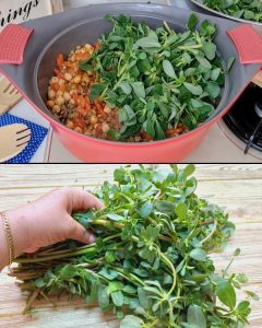 Portulaka w ogrodzie: 8 powodów, dla których nie warto jej niszczyć!