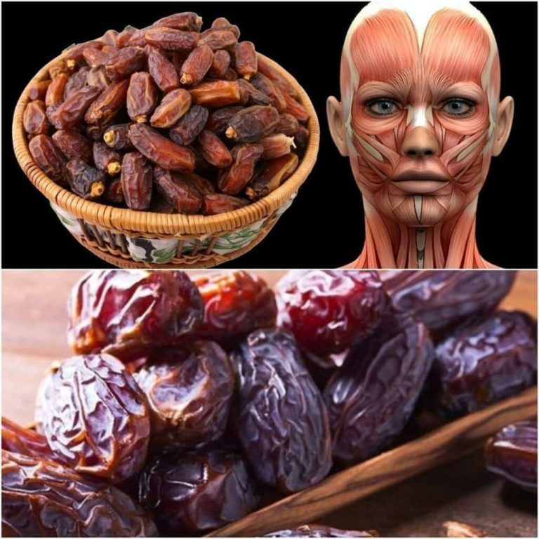 Najprzyjemniejsze drogi do lepszego zdrowia nie zawsze muszą być najtrudniejsze. Dotyczy to w szczególności daktyli, które same w sobie są słodkie, ale zawierają także wiele korzystnych składników odżywczych. Rozważ dodanie do swojej codziennej diety zaledwie dwóch daktyli; W ciągu tygodnia możesz zauważyć nieoczekiwane i wspaniałe zmiany. Dołącz do mnie, a opowiem Ci o korzyściach zdrowotnych, jakie możesz osiągnąć, po prostu dodając daktyle do swojej codziennej rutyny. To niewielka zmiana, która może mieć duży wpływ na Twoje samopoczucie.  Kompaktowe elektrownie odżywcze  Daktyle nie tylko są pyszne, ale także stanowią doskonałe źródło wielu składników odżywczych, których organizm potrzebuje do prawidłowego funkcjonowania. Wzbogać swoją dietę o wartości odżywcze, jedząc jedynie niewielką ilość daktyli. Są bogate w błonnik, witaminy (w tym witaminy z grupy B i witaminę K) i minerały (w tym potas, magnez i żelazo).