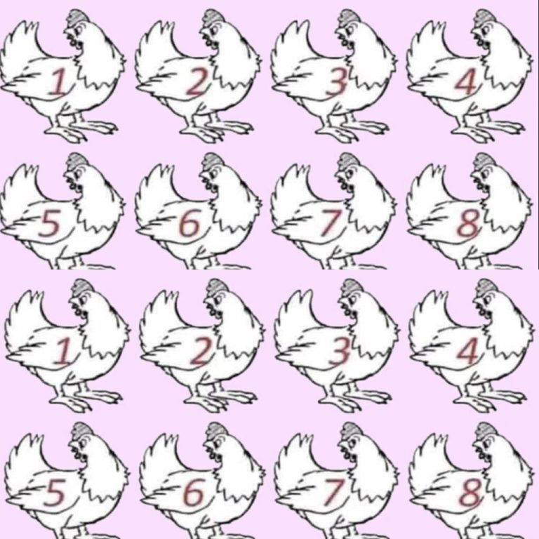 CZY JESTEŚ GENIUSZEM? NIKT NIE JEST W STANIE OKREŚLIĆ, KTÓRY KURCZAK JEST INNY.