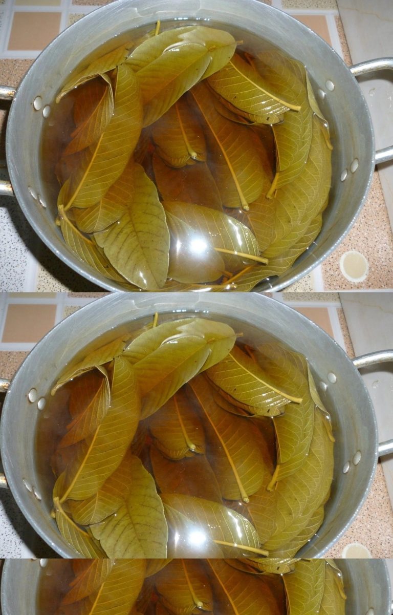 Ukryta moc guawy: korzyści zdrowotne, o których nie wiedziałeś