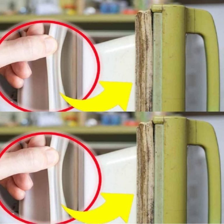 Czarne i spleśniałe uszczelki lodówki: po prostu je usuń