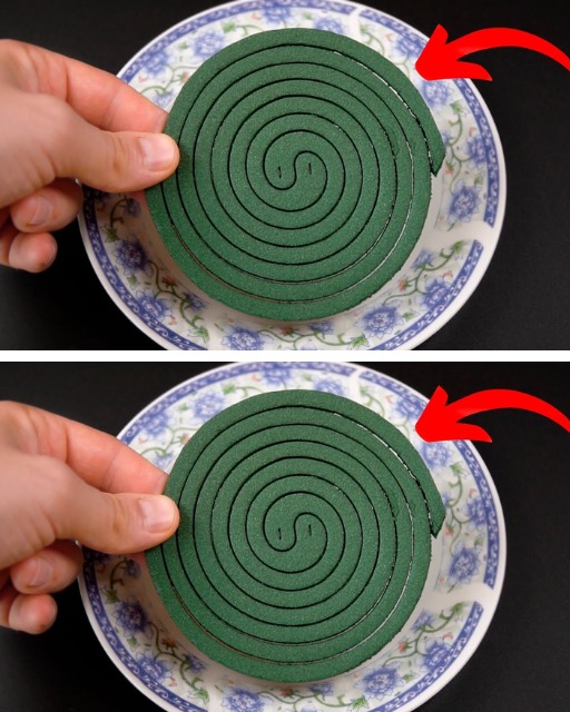 Dopiero dziś odkryłem, że moczenie spirali przeciw komarom w wodzie jest bardzo skuteczne.