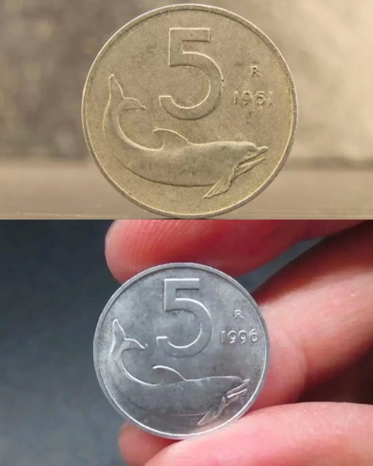 Oto ile warte są 5 lirów z delfinem: sprawdź ich aktualną wartość