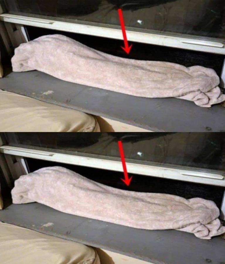 Pewna kobieta kładzie każdego wieczoru mokry ręcznik na oknie. Oto dlaczego