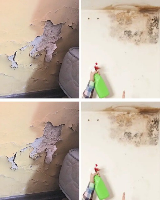 Jak usunąć wilgoć ze ścian, aby nigdy nie powróciła