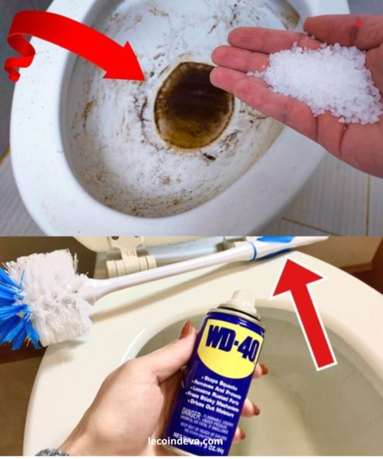 Wyniki wyszukiwania dla Wyczyść toaletę: Usuń czarny osad z dna toalety dzięki babcinemu sposobowi!