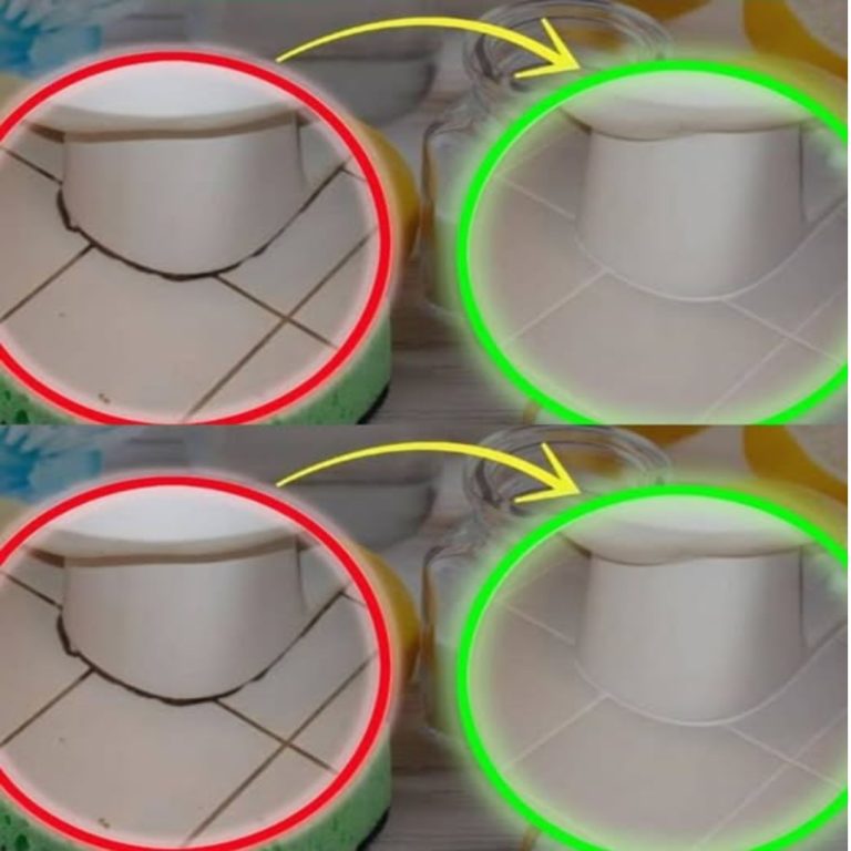 Czarne kółko wokół bidetu, nie zdejmuj go, chyba że zamierzasz to zrobić. Nigdy nie miałem tak czystej łazienki!