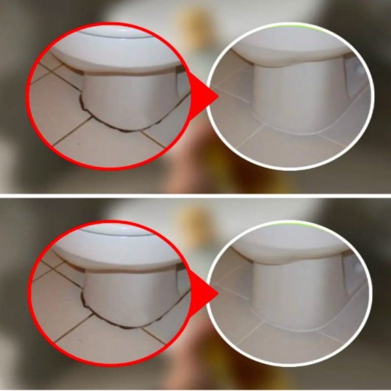 Czarny Pas Wokół Toalety. Jak Pozbyć Się Go W Mgnieniu Oka