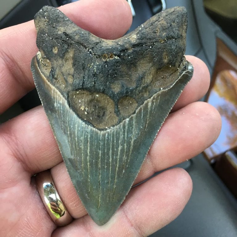 Dziecko odkrywa ten kamyk podczas zabawy w wodzie. Pokazując to swoim rodzicom, dzieci rozumieją, że ich życie się zmieni.