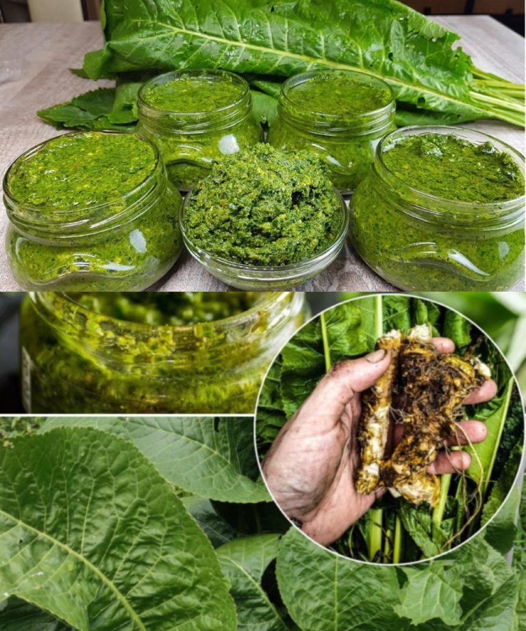 Odmiana liści chrzanu: korzyści zdrowotne i zastosowanie kulinarne