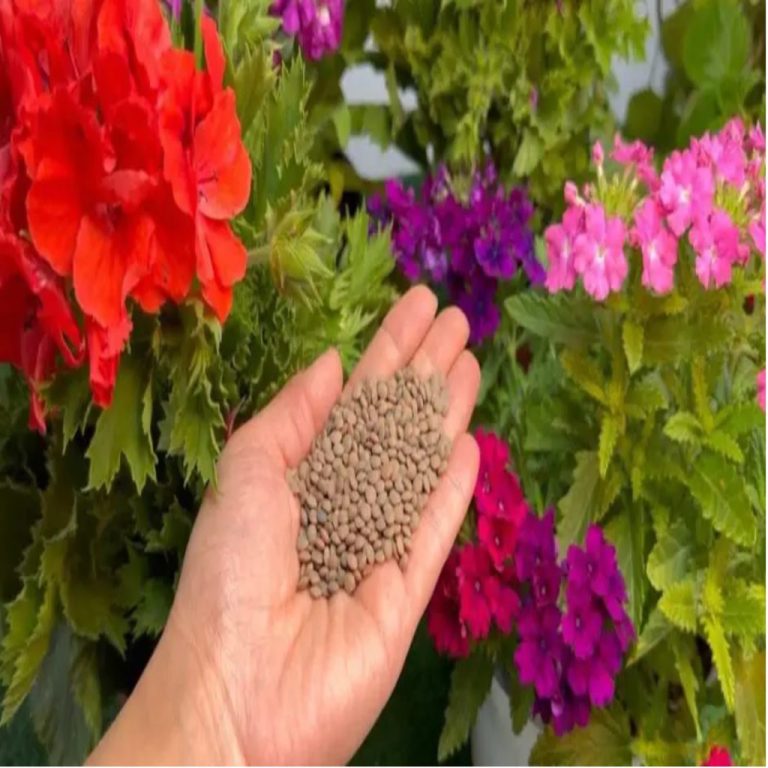 Ten składnik sprawi, że ogród zakwitnie, nie będziesz mógł przestać