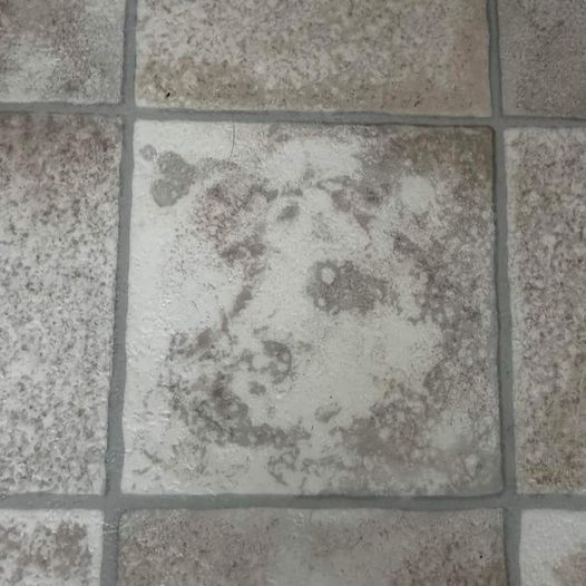 Nieoczekiwana sztuka pareidolii: znajdowanie twarzy w codziennych przedmiotach
