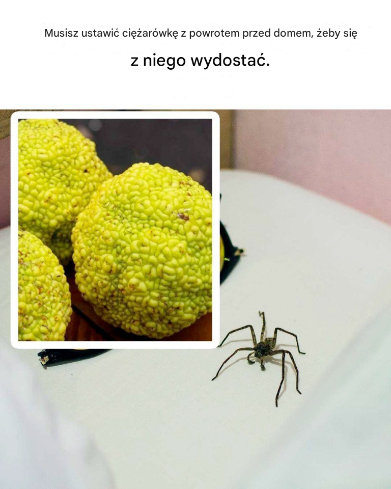 To było dla mnie zupełną nowością!