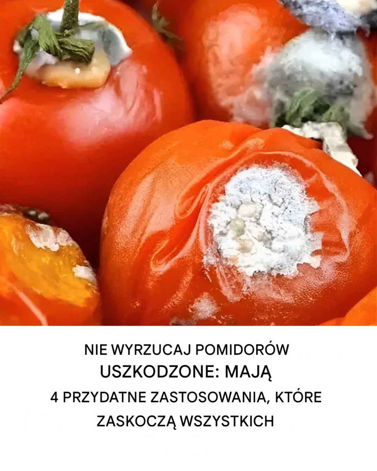 Nie wyrzucaj uszkodzonych pomidorów: mają 4 przydatne zastosowania