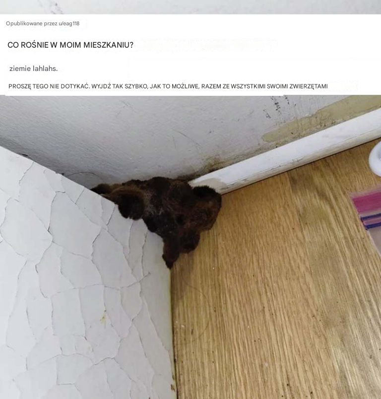 Ludzie proszą o pomoc w identyfikacji dziwnych obiektów, a niektóre z nich są po prostu dziwne