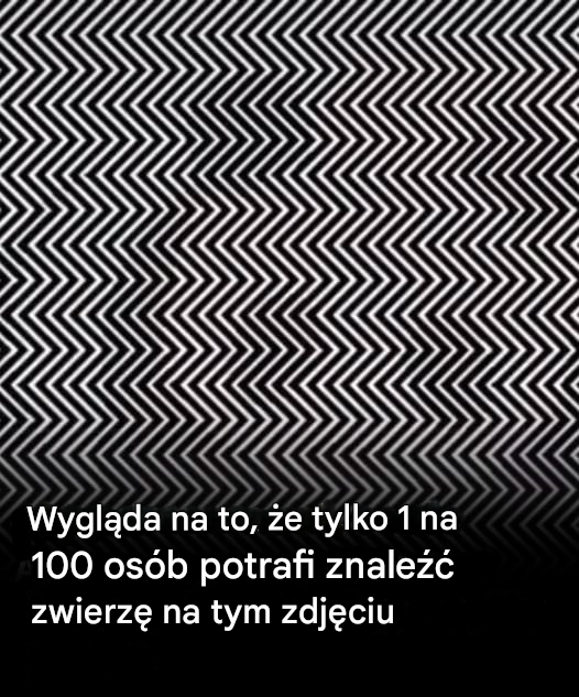 Tylko 1 na 100 osób potrafi znaleźć ukrytą pandę na tym zdjęciu
