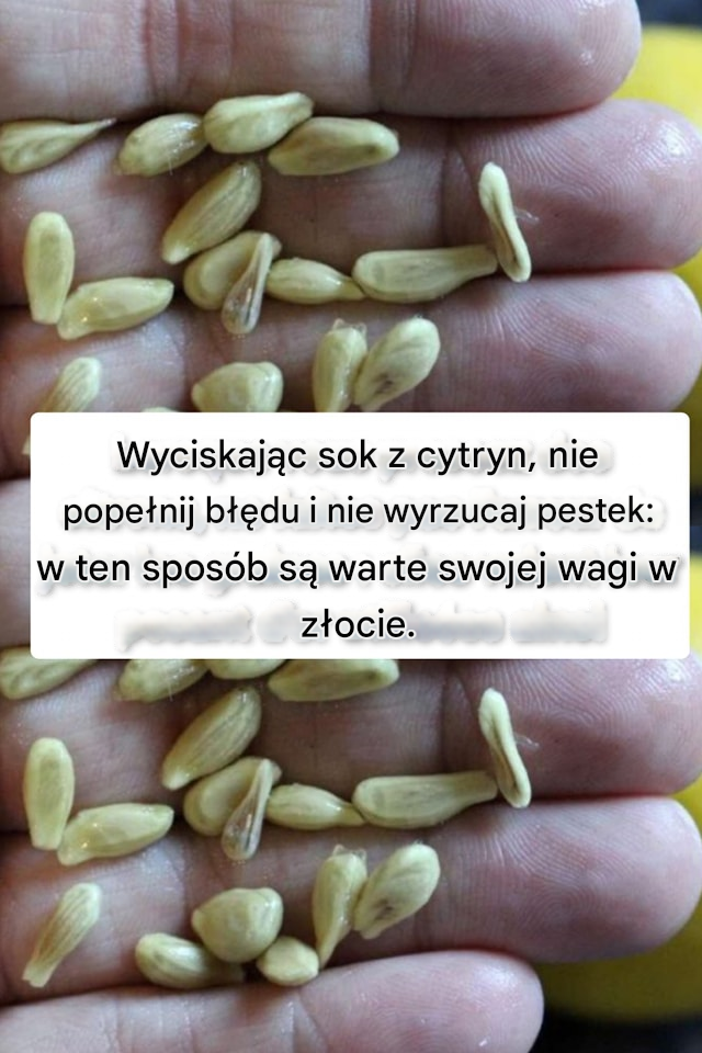Jeśli wlejesz cytrynę do pralki, pranie zostanie wyprane od środka: cud.