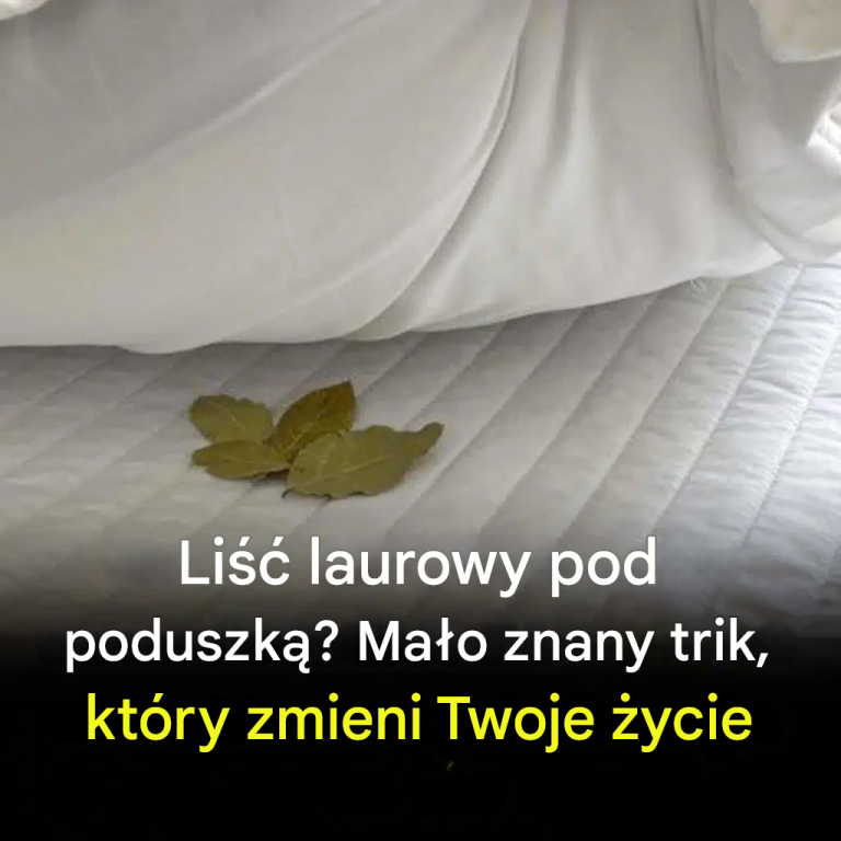 Liść laurowy pod poduszką? Mało znany trik, który zmieni Twoje życie