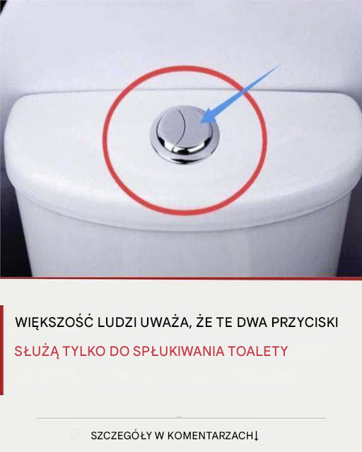 Wiele osób uważa, że ​​te dwa przyciski służą tylko do spłukiwania wody w toalecie.