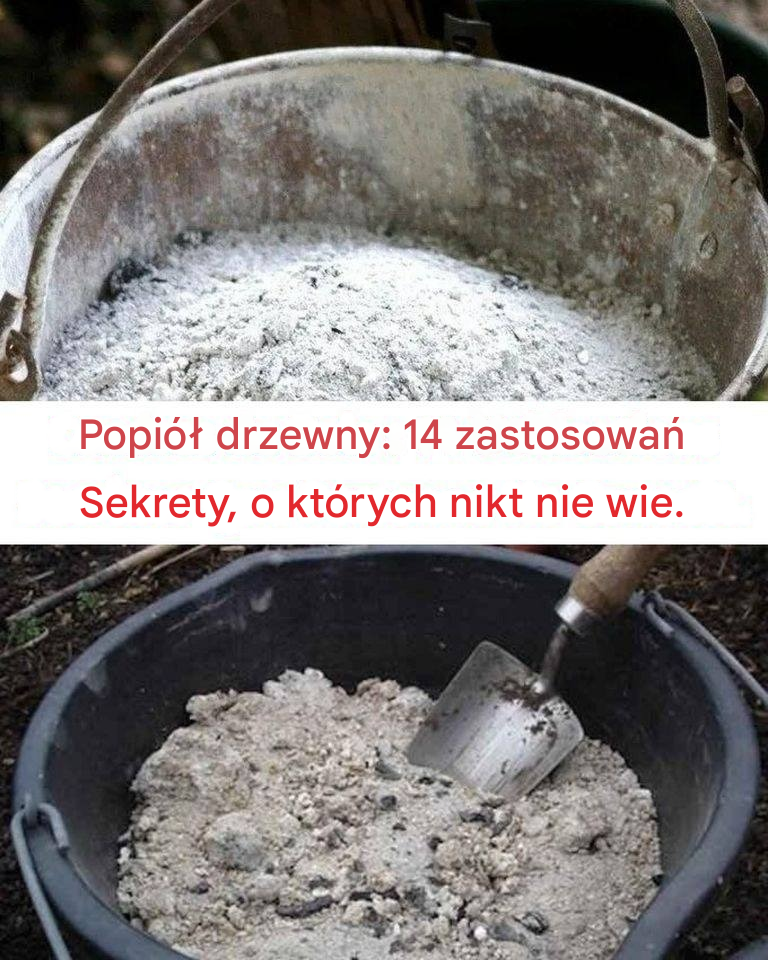 Popioły drzewne: 14 tajnych zastosowań, o których nikt nie wie