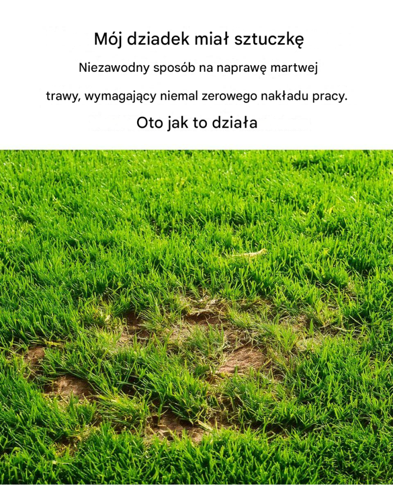 Nie ma mowy… Nie miałem pojęcia!