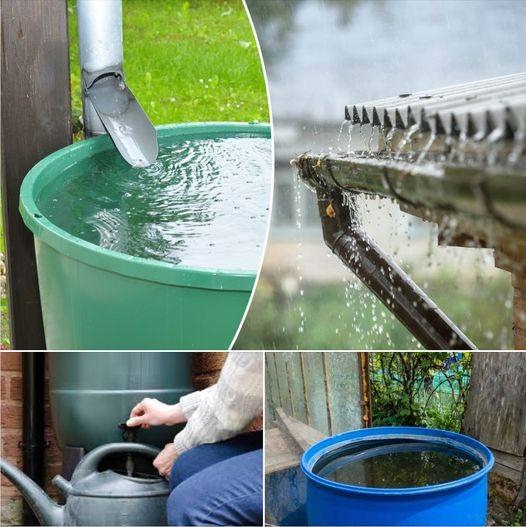 Zachowaj ostrożność przy zbieraniu deszczówki. Jeśli Twój zbiornik nie jest odpowiednio napełniony, grozi Ci kara pieniężna w wysokości 1500 euro.