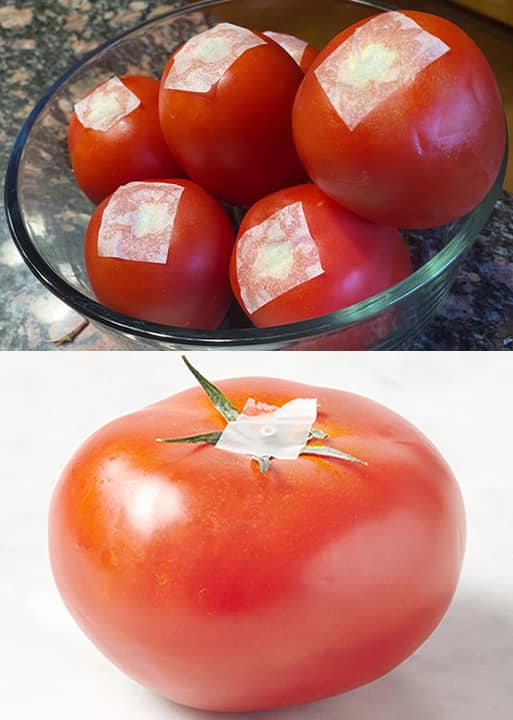 Babciny trik na zachowanie świeżości pomidorów przez kilka dni