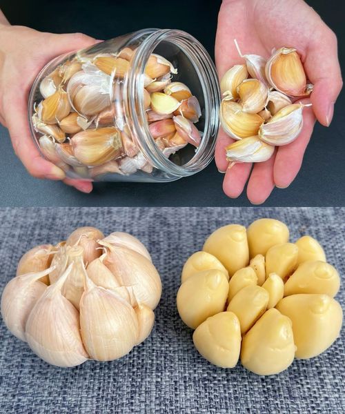 Czosnek zawsze świeży i nienaruszony przez 1 rok: tylko szefowie kuchni znają tę kuchenną sztuczkę