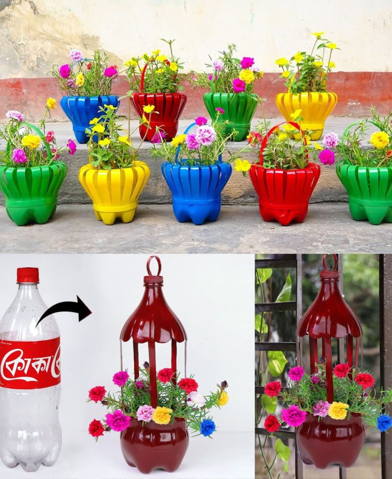 Przetwarzaj plastikowe butelki, aby uzyskać piękne doniczki w kształcie domów