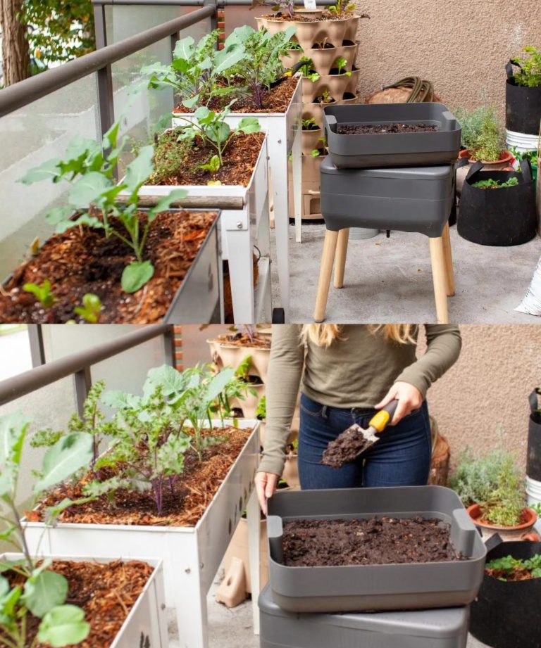 Dlaczego warto kupić kompost z dżdżownic? To jest doskonały wynalazek