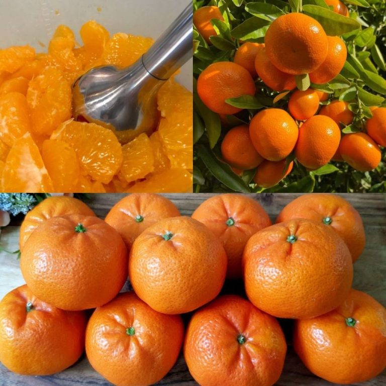 Mandarynki: Naturalny środek wspomagający oczyszczanie nerek, wątroby i płuc