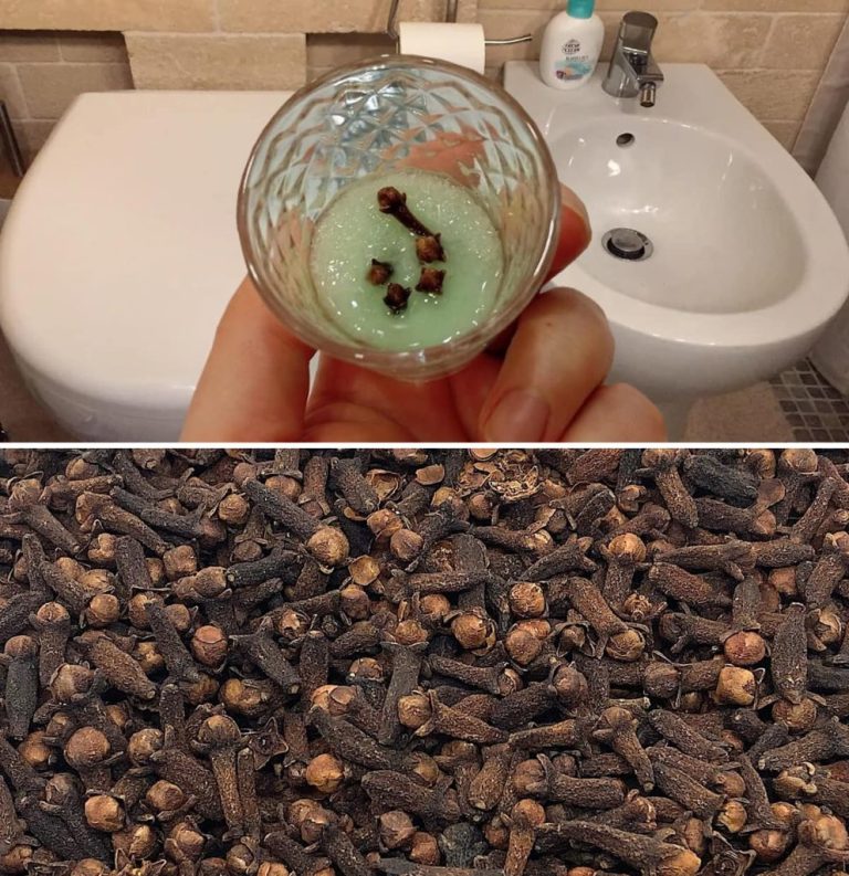 Naturalny trik na neutralizację nieprzyjemnych zapachów w łazience i zapewnienie przyjemnego zapachu przez wiele dni