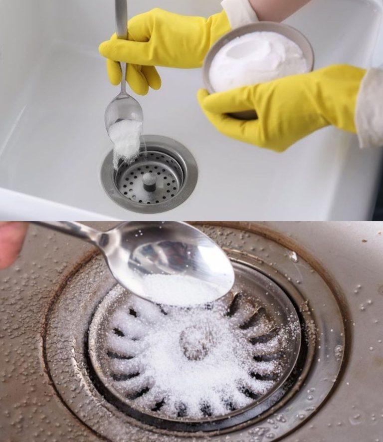 Karaluchy wychodzą z kanałów: wystarczy garstka i już ich nie zobaczysz