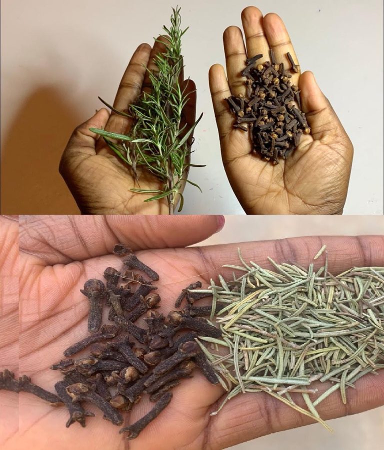 Dlaczego warto mieszać rozmaryn i goździki?