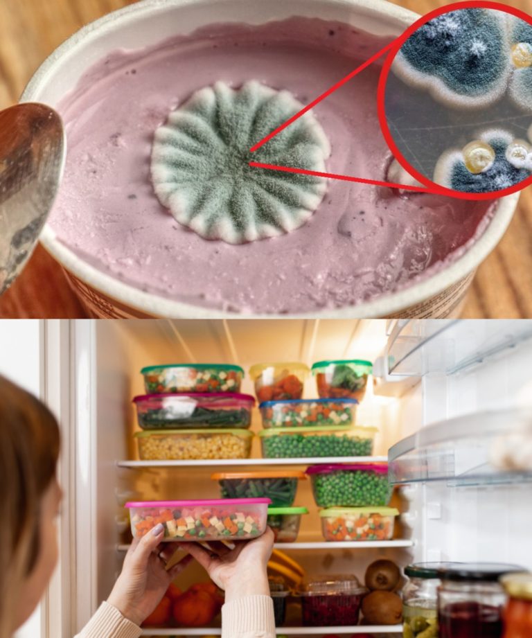 Jak przechowywać żywność w lodówce, aby nie została skażona bakteriami