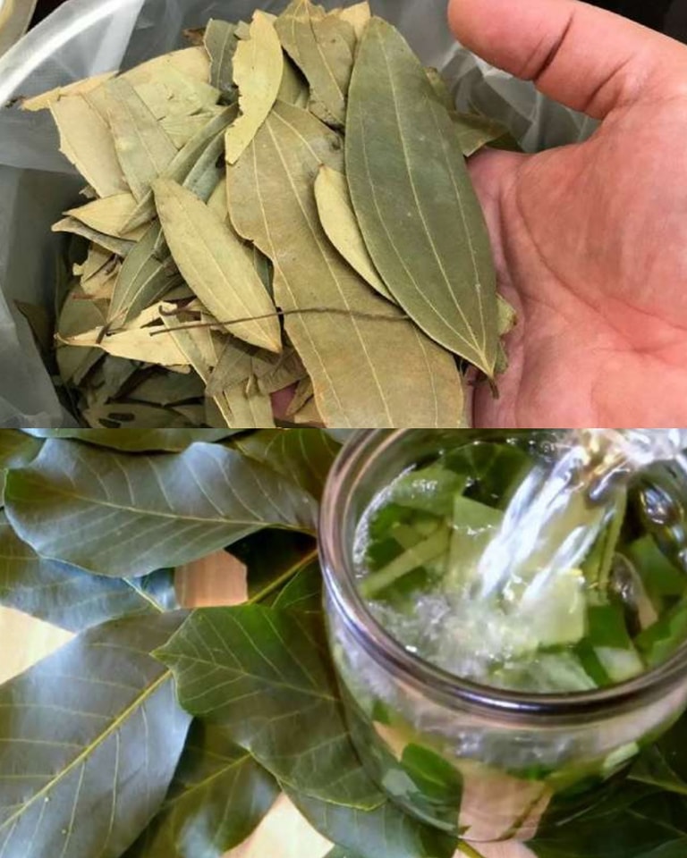 Unikaj nadmiernego pocenia się i zapachu potu w upalne dni: naturalny tonik