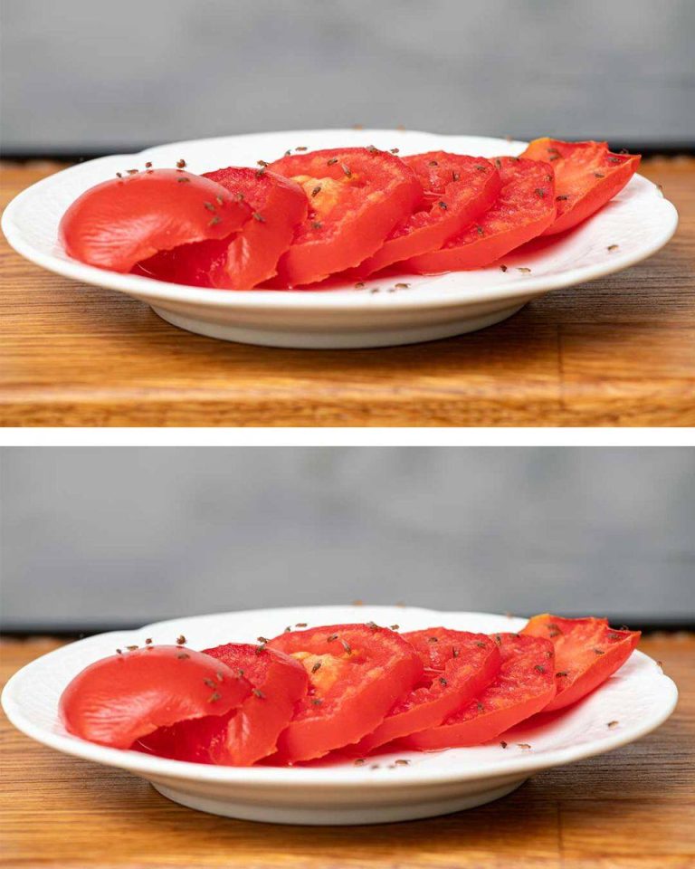 Muszki owocówki pokrywają wszystkie pomidory, które pominęłam. Czy muszę teraz posprzątać całą kuchnię, czy mogę po prostu wyrzucić pomidory?