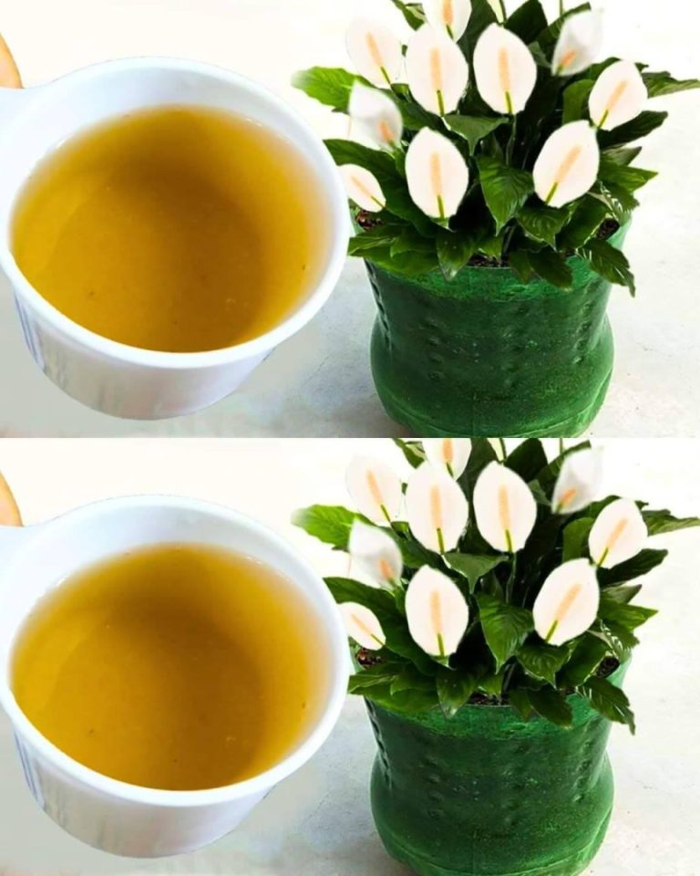 Skrzydłokwiat: Jak sprawić, by kwitł cały rok?