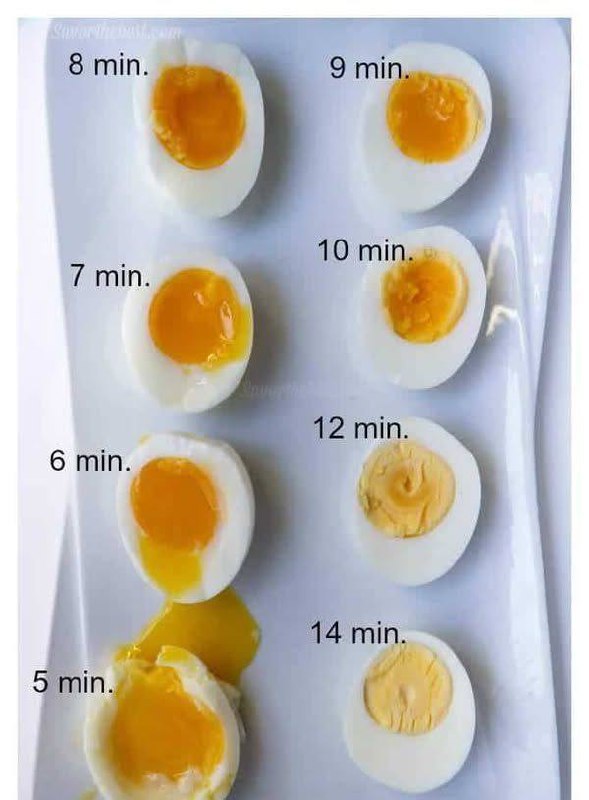 Idealne jajka na twardo: sekrety czasu i techniki gotowania