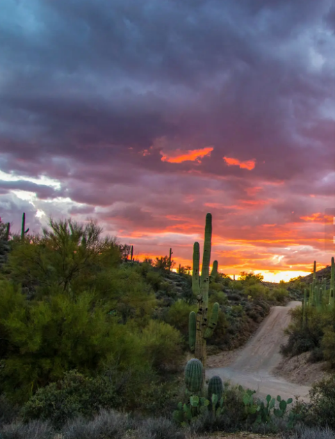 Te francuskie przesądy, które praktykujemy nie zdając sobie z tego sprawy