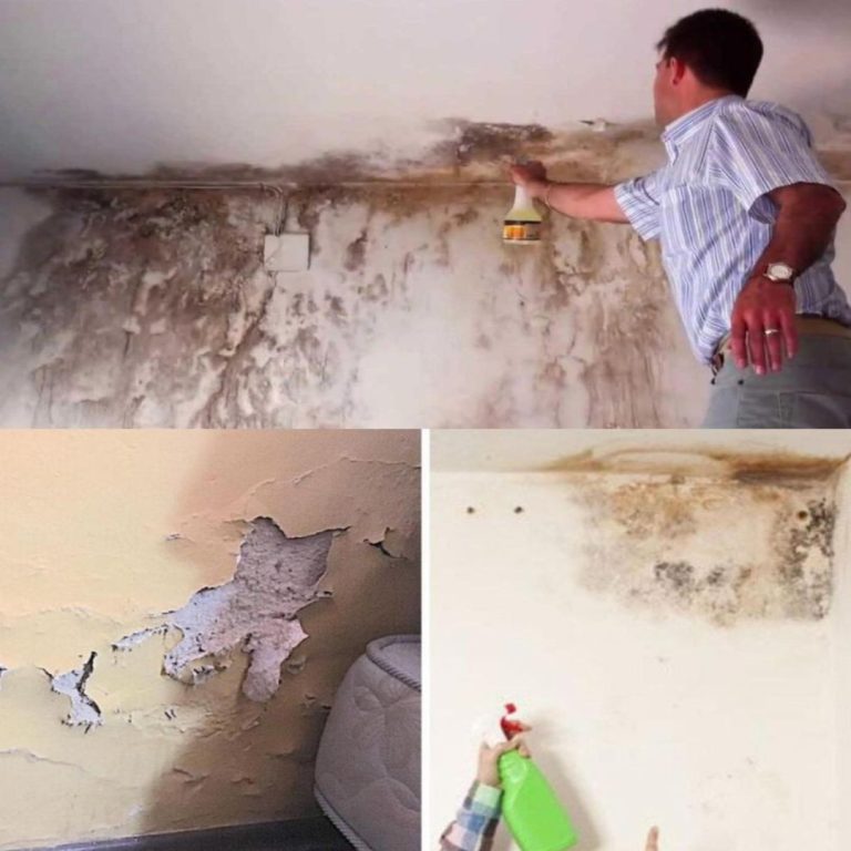 Jak usunąć wilgoć ze ścian, aby nigdy nie powróciła