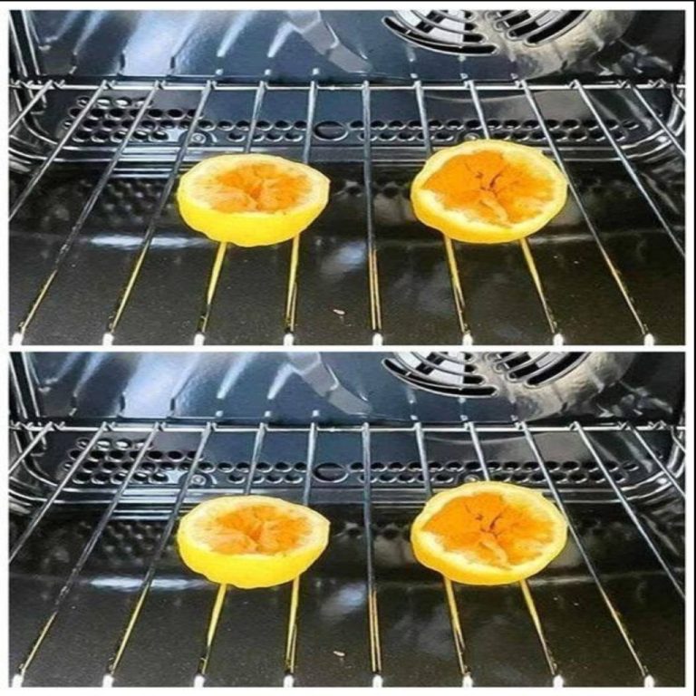 6 wskazówek, jak trzymać komary z dala od domu: nie odważą się wrócić